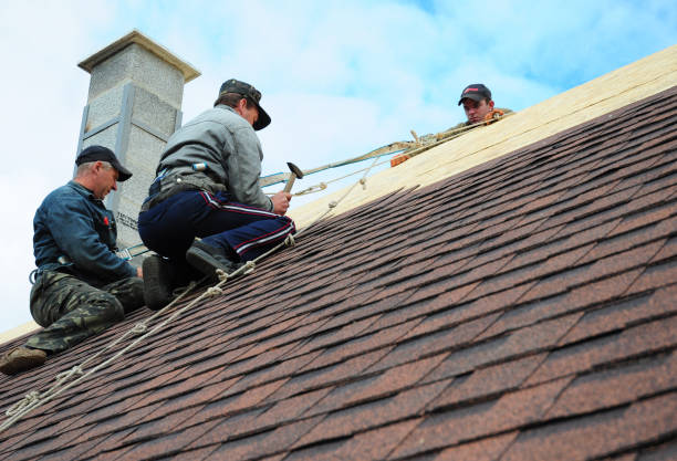 Best Roof Gutter Cleaning  in Crooksville, OH